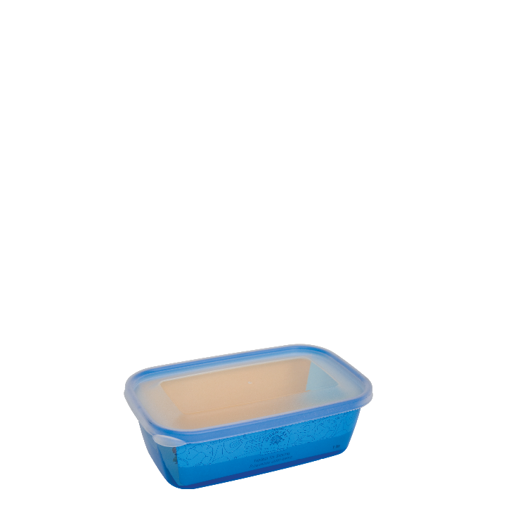 KOTAK MAKANAN FRESH 1000 ml  rajaplastik